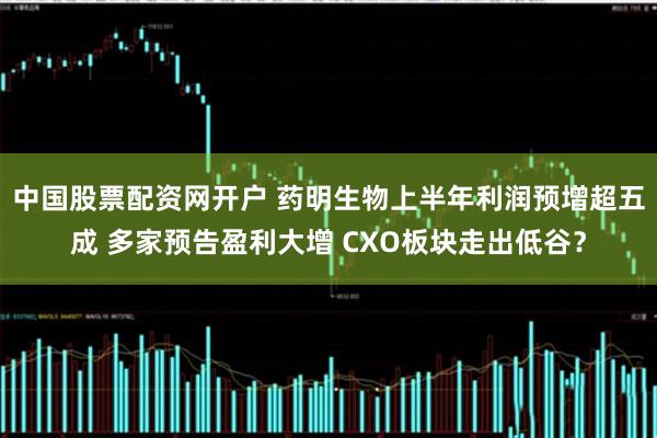 中国股票配资网开户 药明生物上半年利润预增超五成 多家预告盈利大增 CXO板块走出低谷？