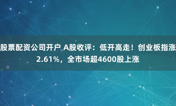 股票配资公司开户 A股收评：低开高走！创业板指涨2.61%，全市场超4600股上涨